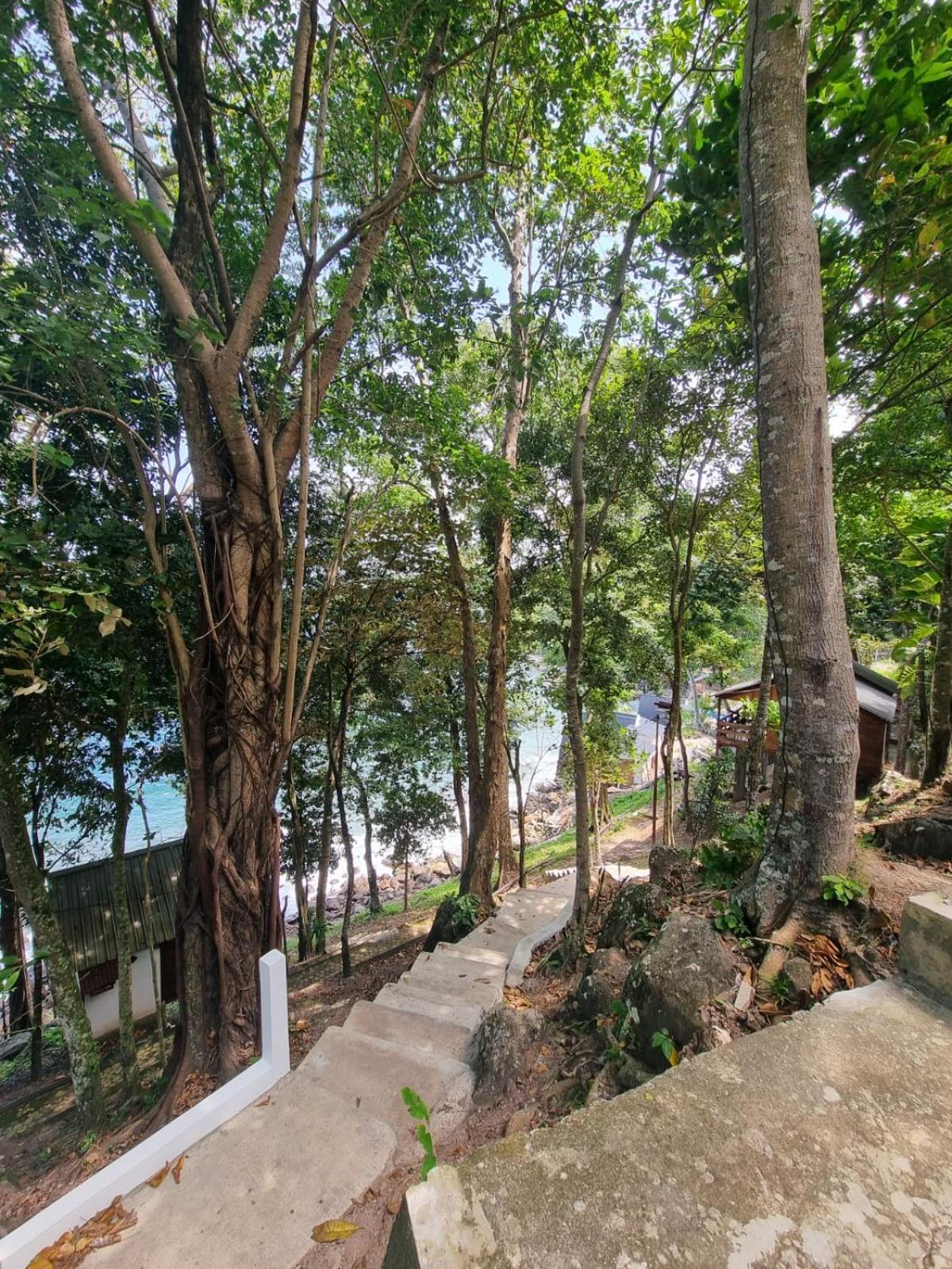 Treetop Guesthouse And Bungalows Сабанг Экстерьер фото
